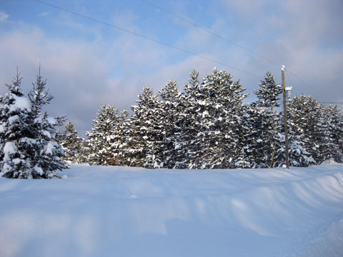 2009Jan18__Mixed Bag__0016.jpg